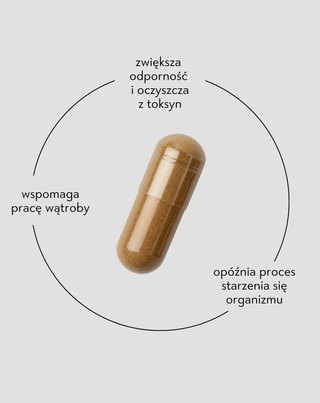 Jagody goji tabletki dla prawidłowego działania organizmu Goji Berry Nutridome 60 kapsułek - 2