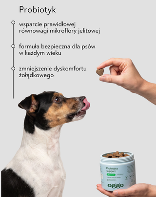 Probiotics for dogs karma uzupełniająca dla psów na trawienie, układ pokarmowy i odporność Oggo 180 g - 2