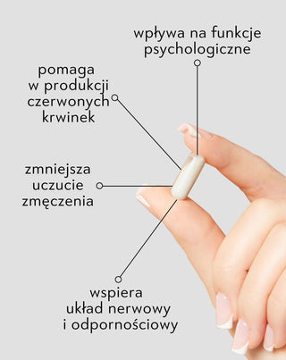 Witamina B12 Nutridome na odporność, zmęczenie i funkcjonowanie układu nerwowego 60 kapsułek - 3