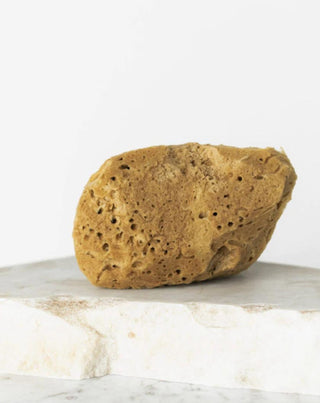 Naturalna gąbka morska brązowa 9,5 cm 02F hipoalergiczna i antybakteryjna Hhuumm - 2