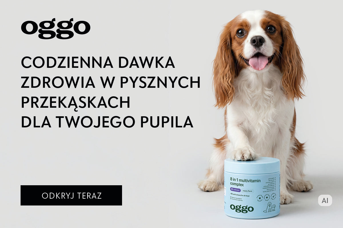 Marka Oggo