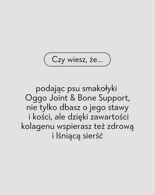 Joint &amp; Bone Support karma uzupełniająca dla psów na stawy i kości Oggo 180 g