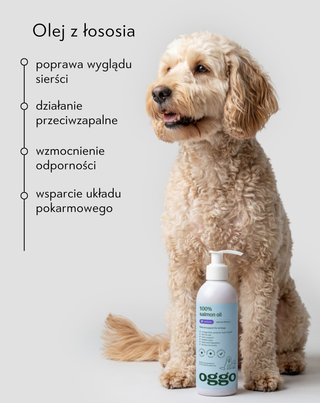 Olej z łososia 100% karma uzupełniająca dla psów na odporność i energię Oggo 250 ml - 2